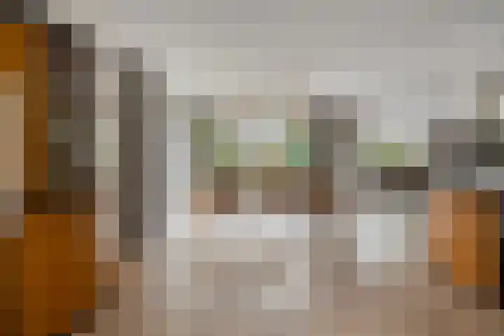 IJsbaan 93 Sliedrecht thumbnail 18