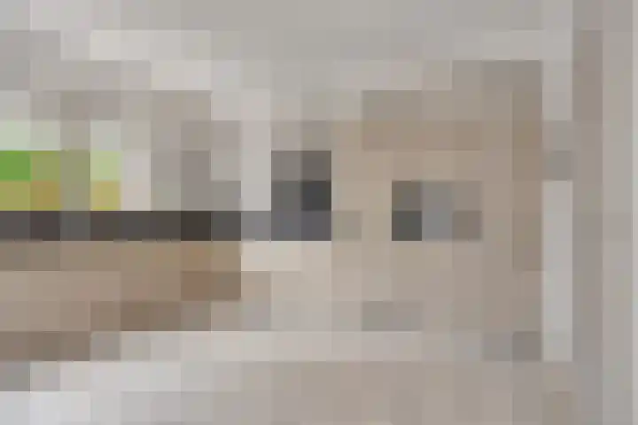 IJsbaan 93 Sliedrecht thumbnail 19