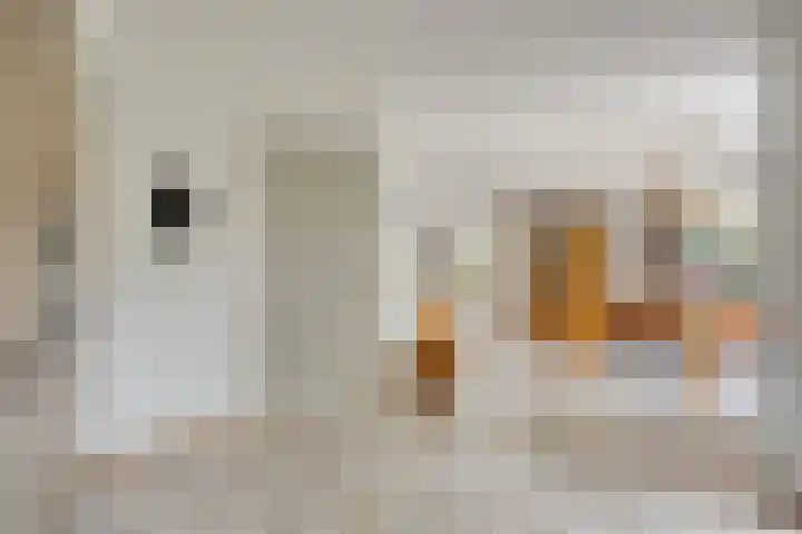 IJsbaan 93 Sliedrecht thumbnail 20