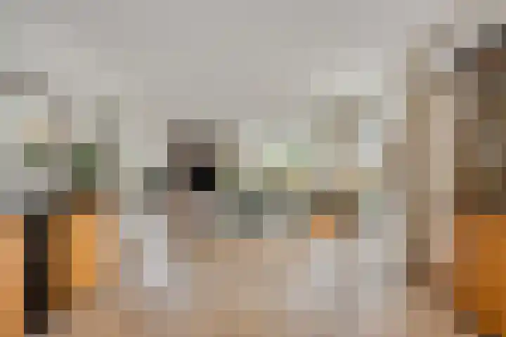 IJsbaan 93 Sliedrecht thumbnail 23