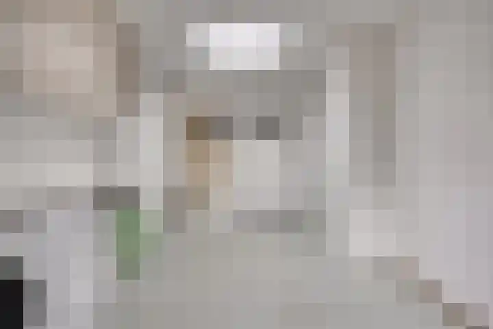 IJsbaan 93 Sliedrecht thumbnail 25