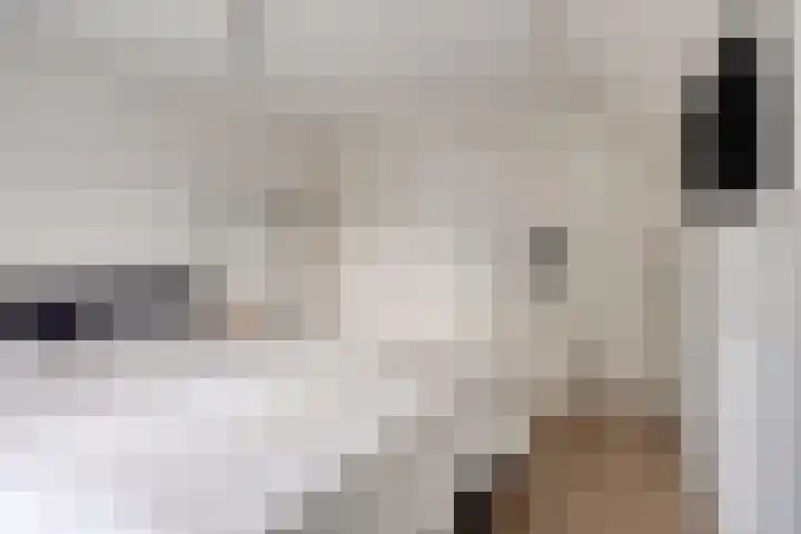 IJsbaan 93 Sliedrecht thumbnail 27