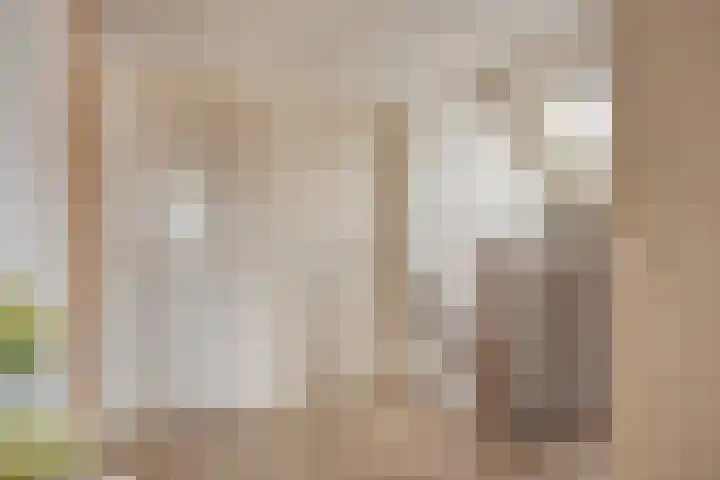 IJsbaan 93 Sliedrecht thumbnail 31