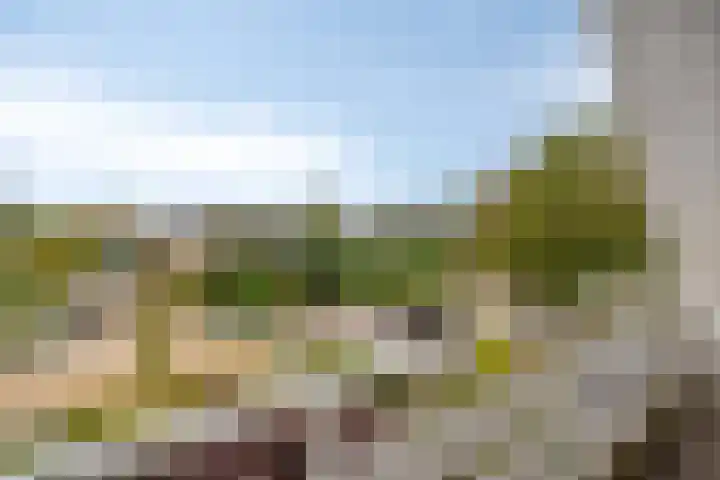 IJsbaan 93 Sliedrecht thumbnail 34