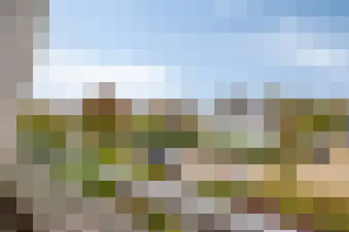 IJsbaan 93 Sliedrecht thumbnail 35
