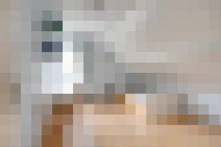 IJsbaan 93 Sliedrecht thumbnail 36