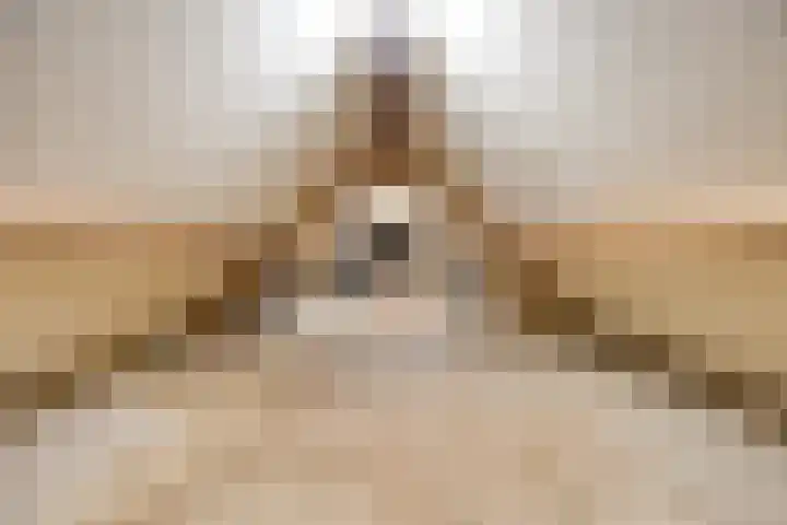 IJsbaan 93 Sliedrecht thumbnail 38