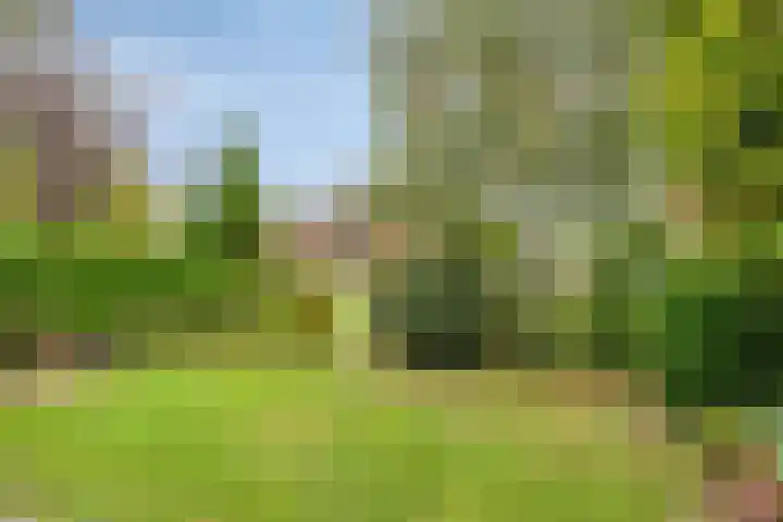 IJsbaan 93 Sliedrecht thumbnail 39