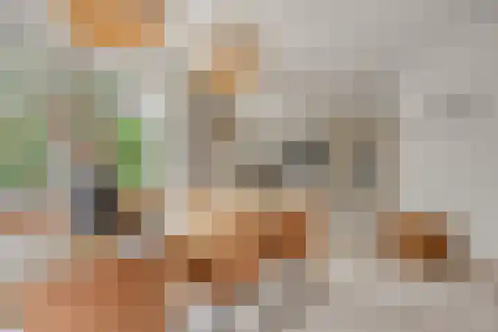 IJsbaan 93 Sliedrecht thumbnail 4