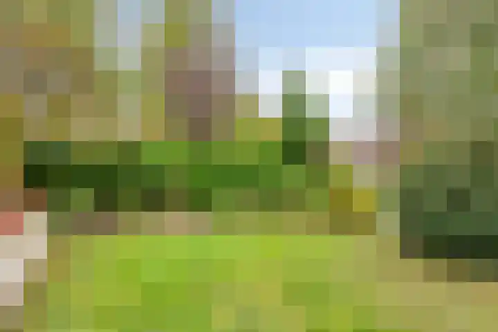 IJsbaan 93 Sliedrecht thumbnail 40
