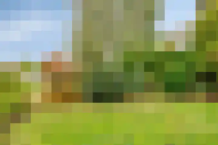 IJsbaan 93 Sliedrecht thumbnail 41