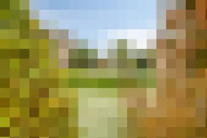 IJsbaan 93 Sliedrecht thumbnail 42