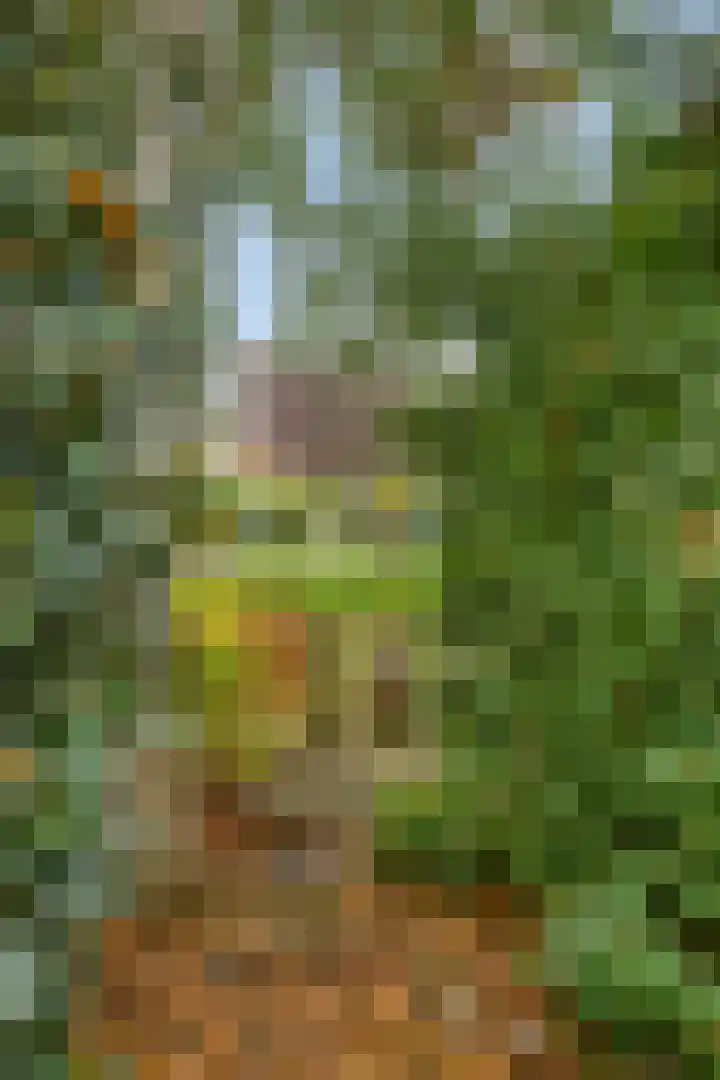 IJsbaan 93 Sliedrecht thumbnail 43