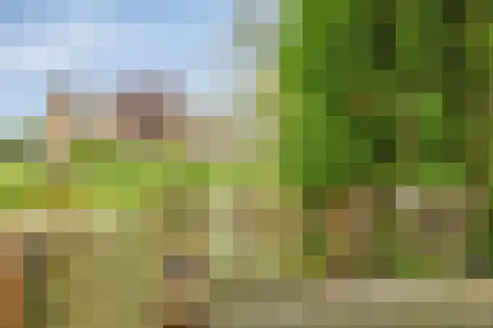 IJsbaan 93 Sliedrecht thumbnail 44