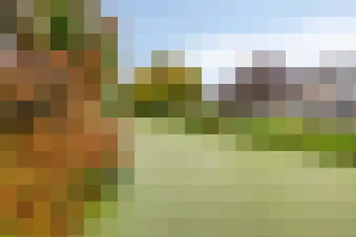 IJsbaan 93 Sliedrecht thumbnail 45