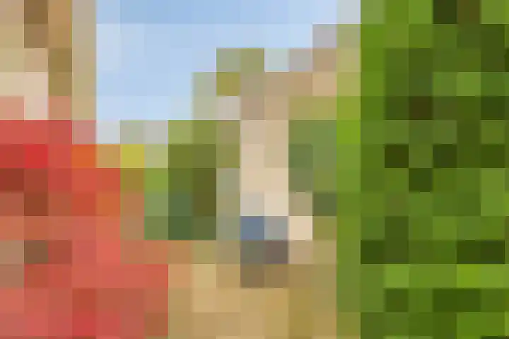 IJsbaan 93 Sliedrecht thumbnail 48