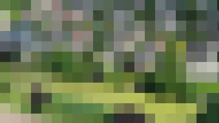 IJsbaan 93 Sliedrecht thumbnail 49