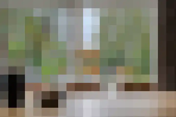 IJsbaan 93 Sliedrecht thumbnail 5