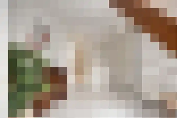 IJsbaan 93 Sliedrecht thumbnail 7