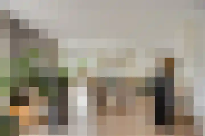 IJsbaan 93 Sliedrecht thumbnail 8