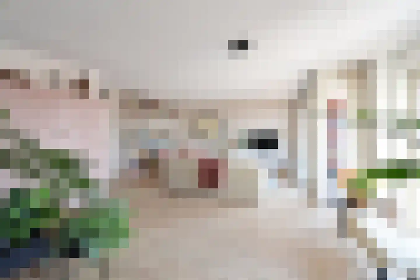 IJsbaankade 11 Huizen thumbnail 7