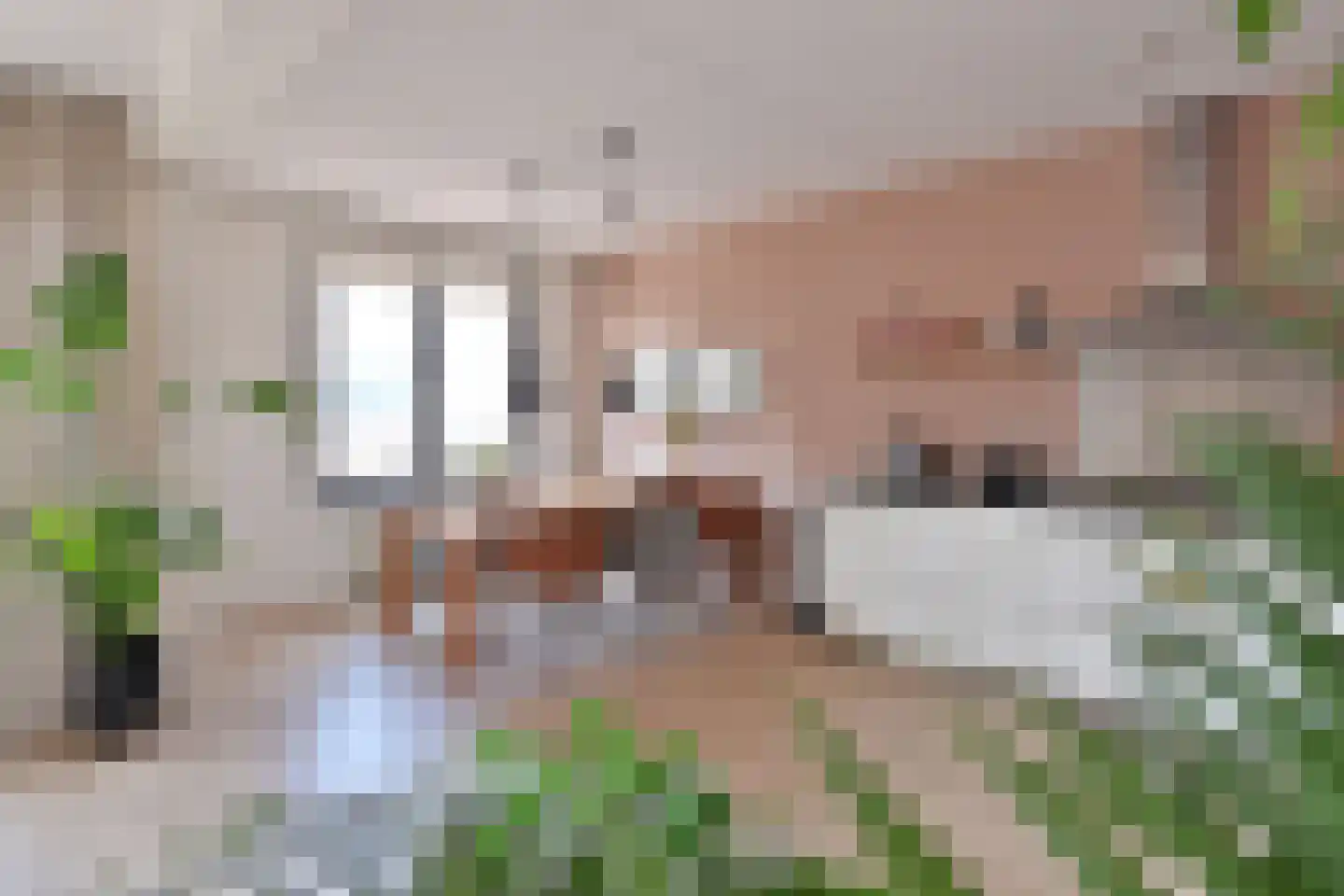 IJsbaankade 11 Huizen thumbnail 9