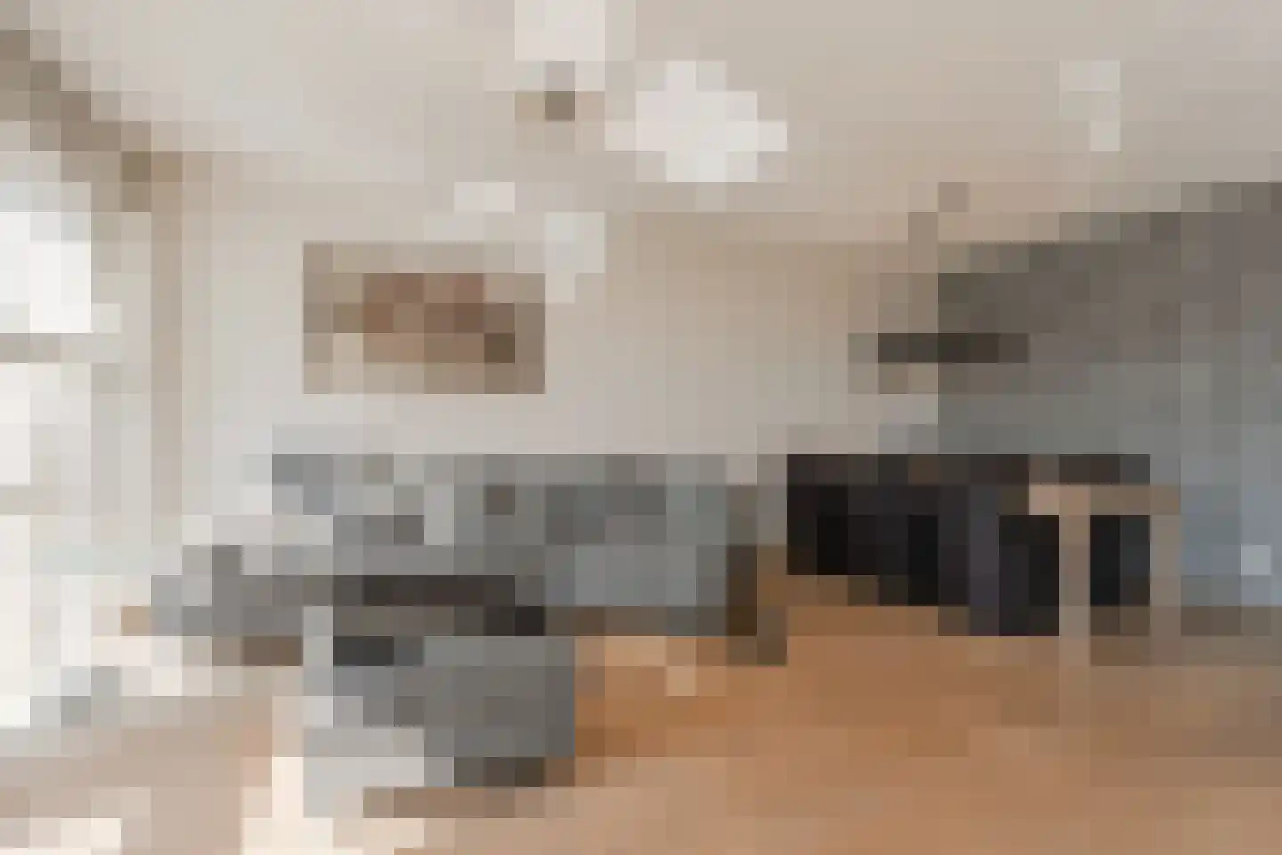 IJsbaankade 175 Huizen thumbnail 13