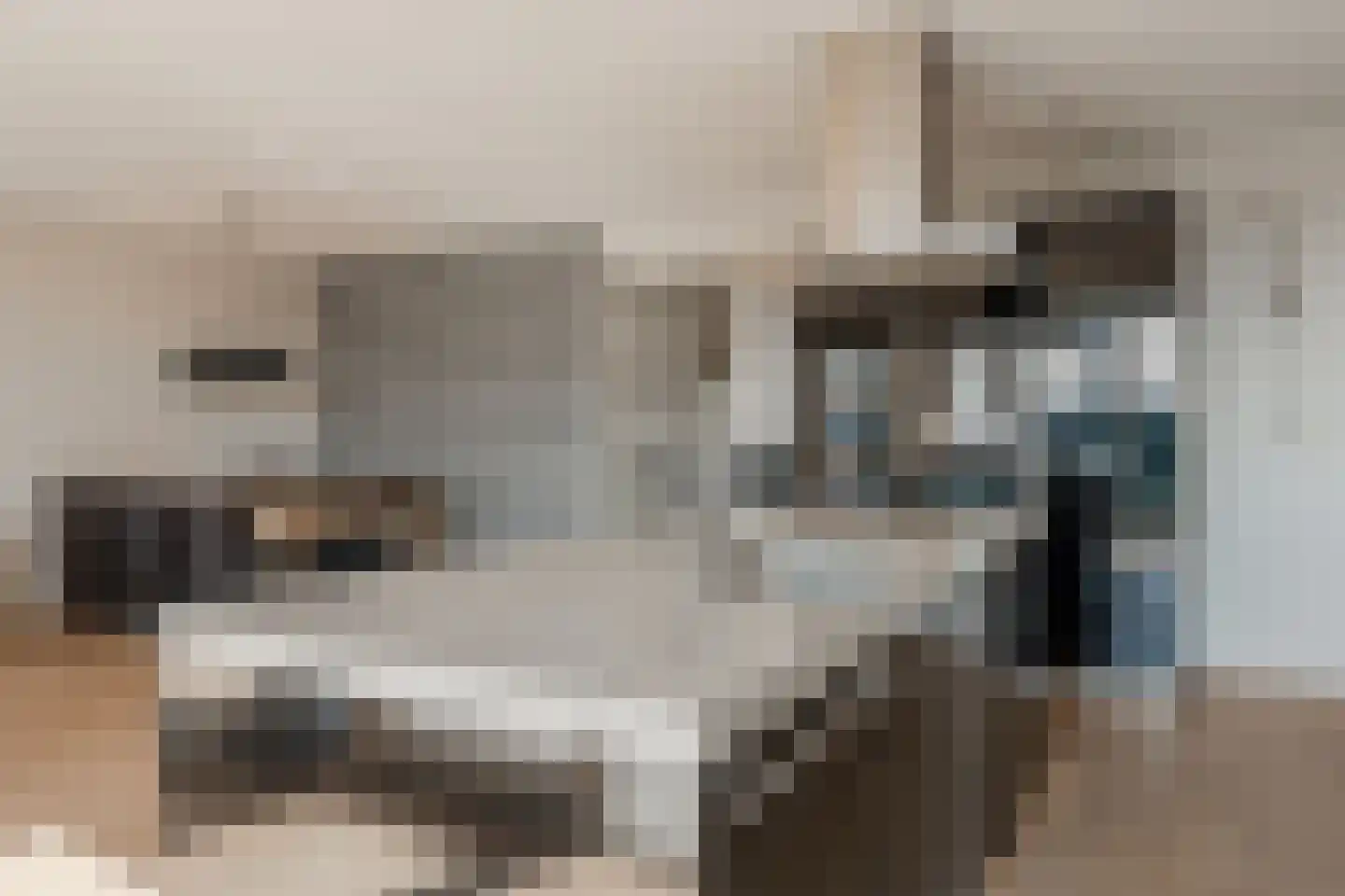 IJsbaankade 175 Huizen thumbnail 21
