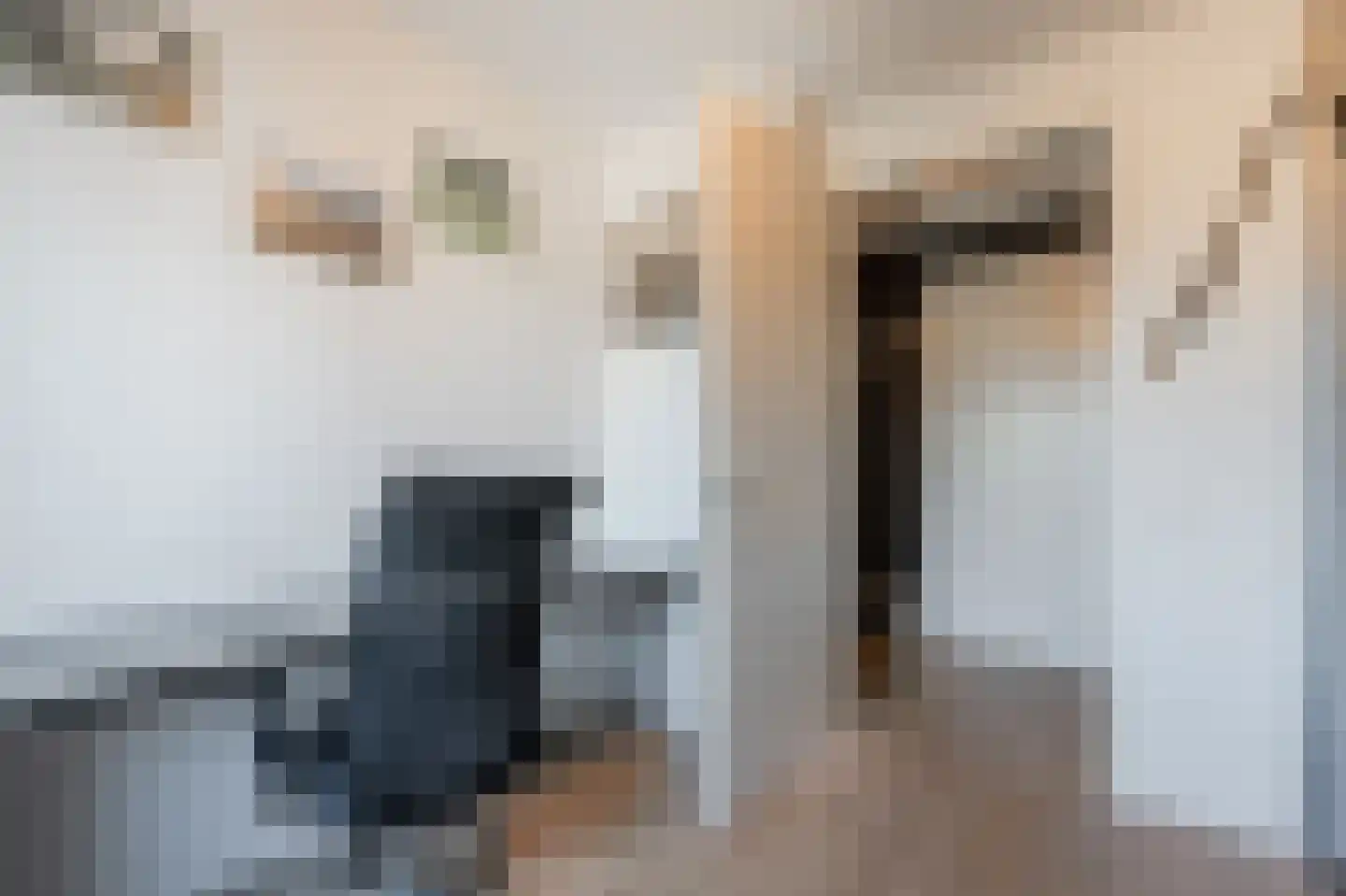 IJsbaankade 175 Huizen thumbnail 34