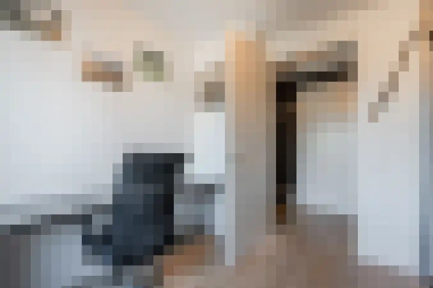 IJsbaankade 175 Huizen thumbnail 34