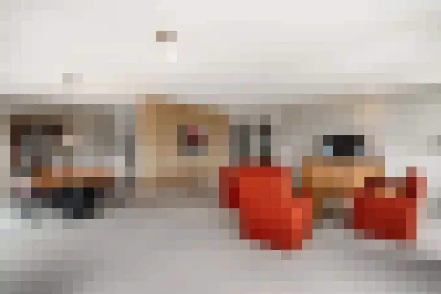 IJsbaankade 55 Huizen thumbnail 20