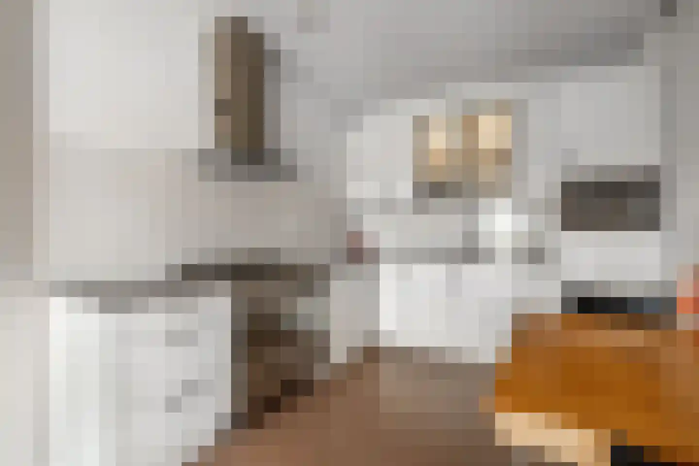 IJsbaankade 55 Huizen thumbnail 26