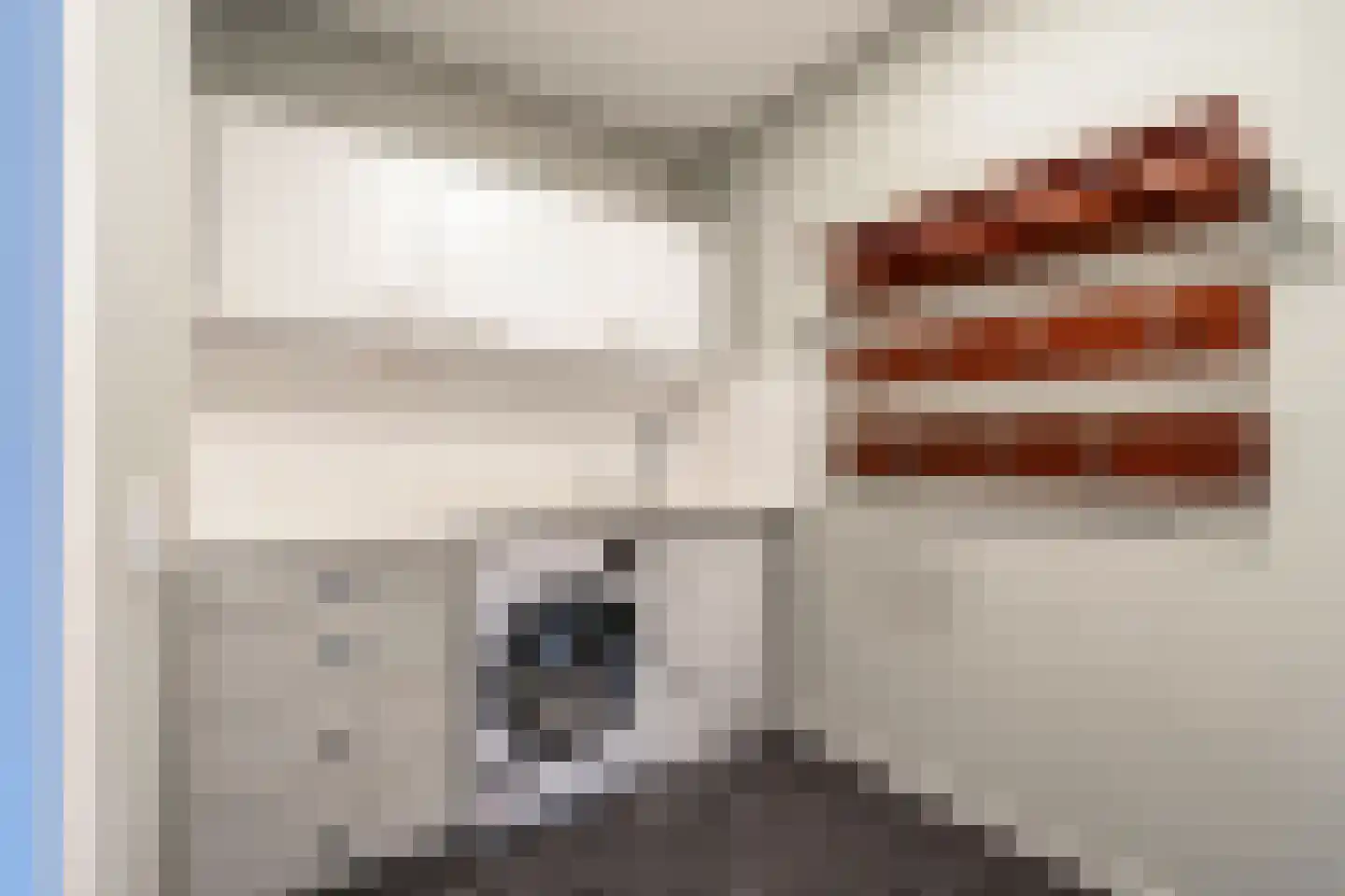 IJsbaankade 55 Huizen thumbnail 35