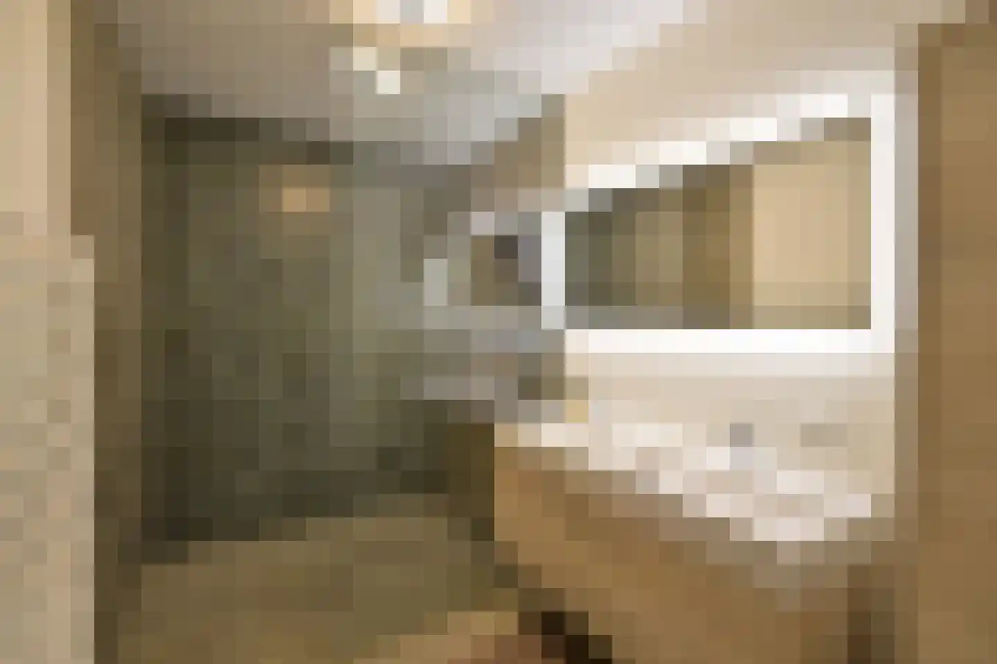 IJsbaankade 9 Huizen thumbnail 11