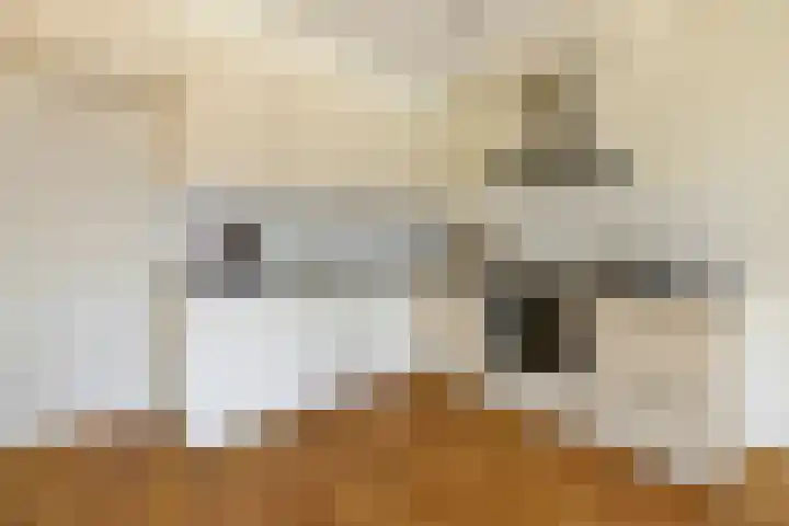 IJsbaankade 99 Huizen thumbnail 11