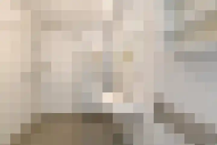 IJsbaankade 99 Huizen thumbnail 15