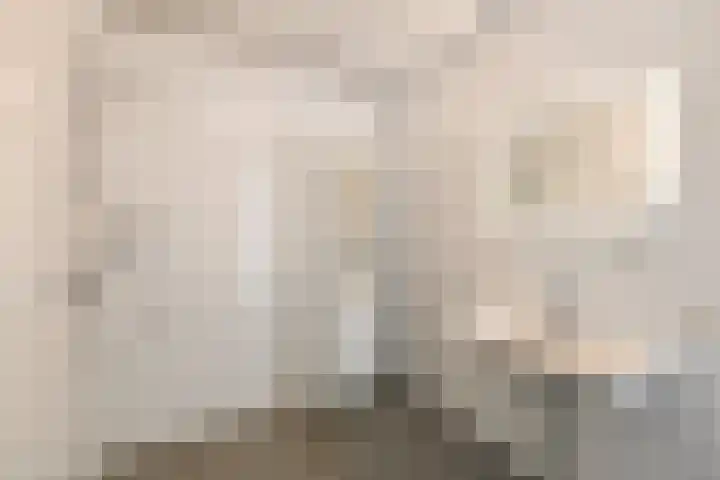 IJsbaankade 99 Huizen thumbnail 16