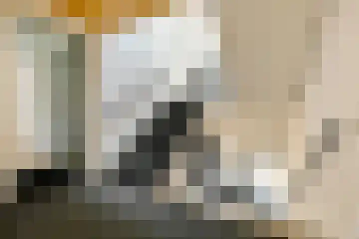 IJsbaankade 99 Huizen thumbnail 20