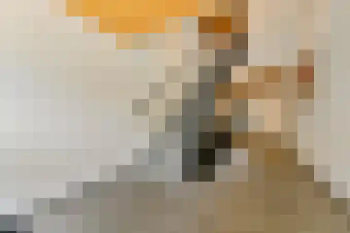 IJsbaankade 99 Huizen thumbnail 22