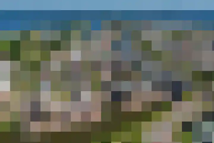 IJsbaankade 99 Huizen thumbnail 36