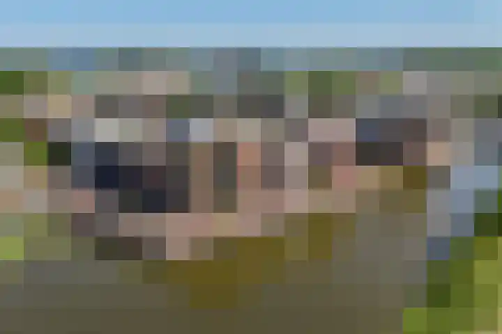 IJsbaankade 99 Huizen thumbnail 38