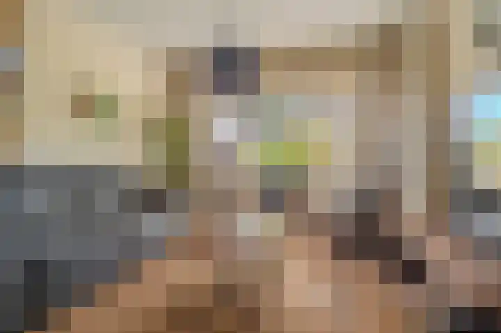 IJsbaanlaan 17 Oude Pekela thumbnail 11