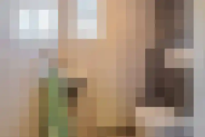 IJsbaanlaan 17 Oude Pekela thumbnail 24