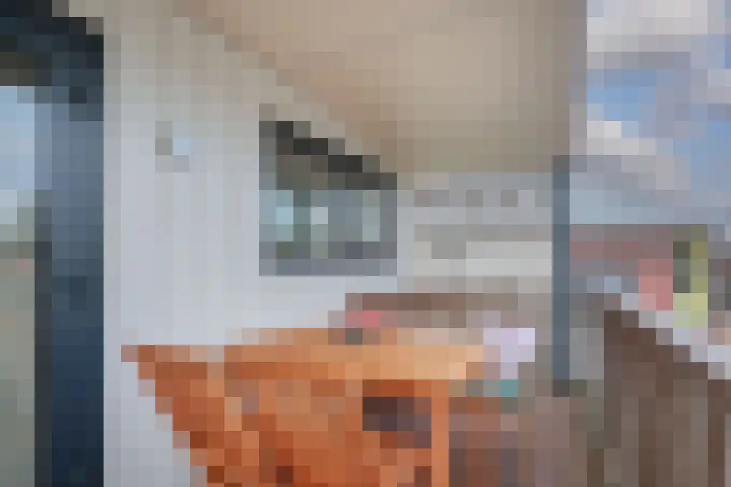 IJsbaanpad 68 C Amsterdam thumbnail 28