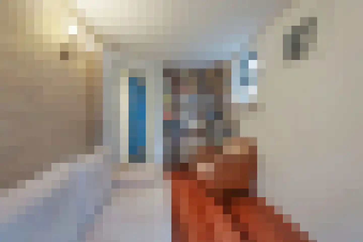 IJsbaanpad 68 C Amsterdam thumbnail 35