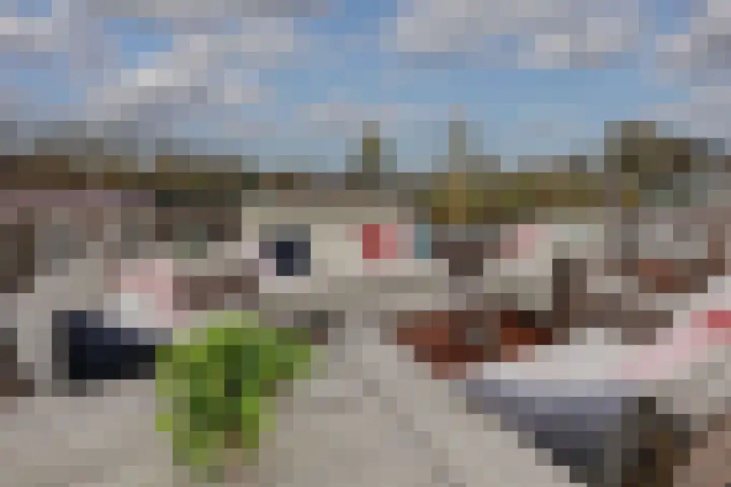 IJsbaanpad 68 C Amsterdam thumbnail 57