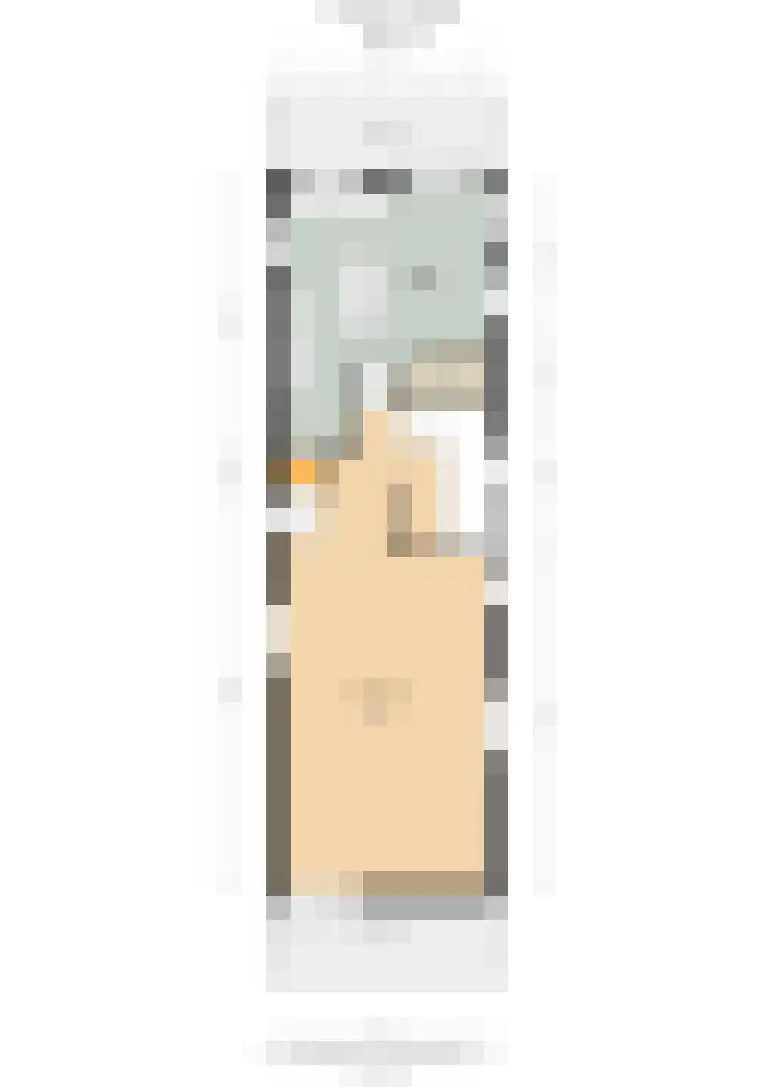 IJsbaanpad 68 C Amsterdam thumbnail 62