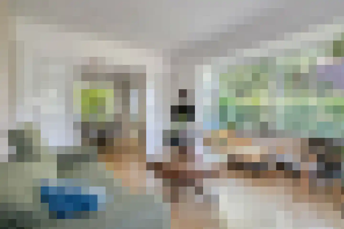 IJsbaanstraat 12 Zutphen thumbnail 10
