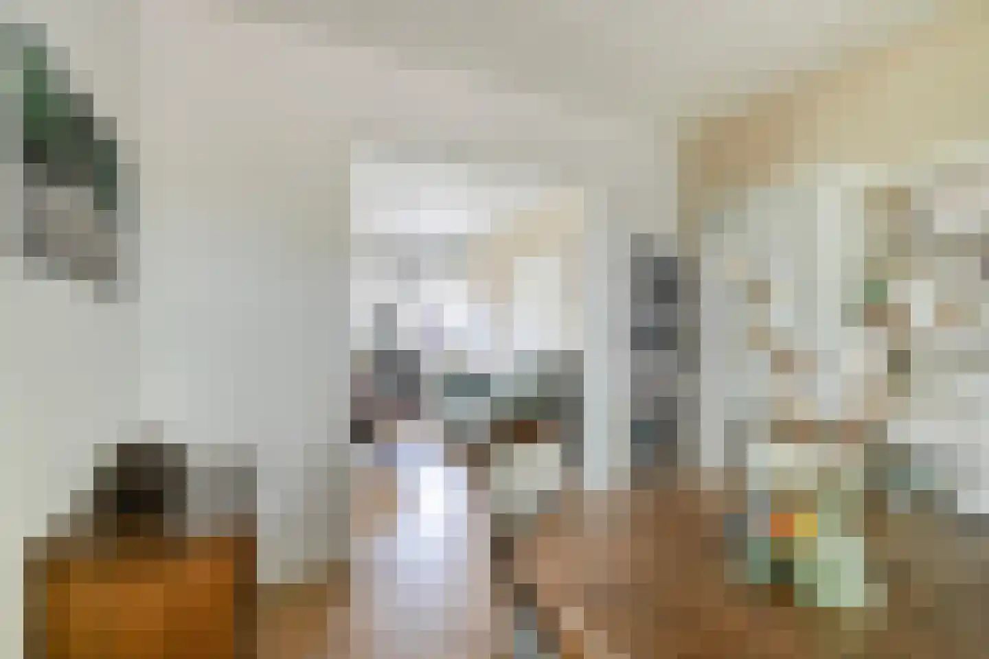 IJsbaanstraat 12 Zutphen thumbnail 14