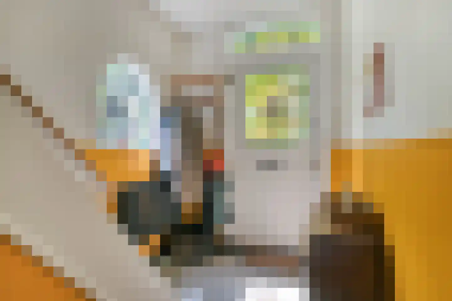 IJsbaanstraat 12 Zutphen thumbnail 18